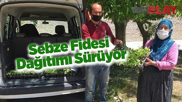 Sebze Fidesi Dağıtımı Sürüyor