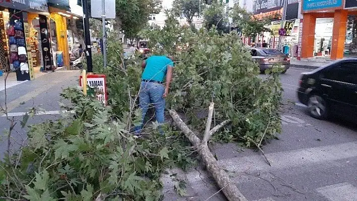 Şiddetli rüzgar aydınlatma lambası ve ağaç dallarını kopardı