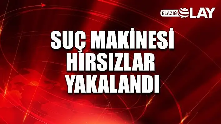 Suç Makinesi Hırsızlar Yakalandı