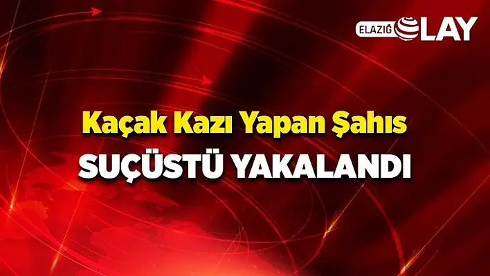 Suçüstü Yakalandı