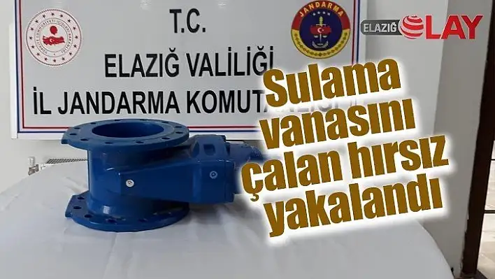 Sulama vanasını çalan hırsız yakalandı