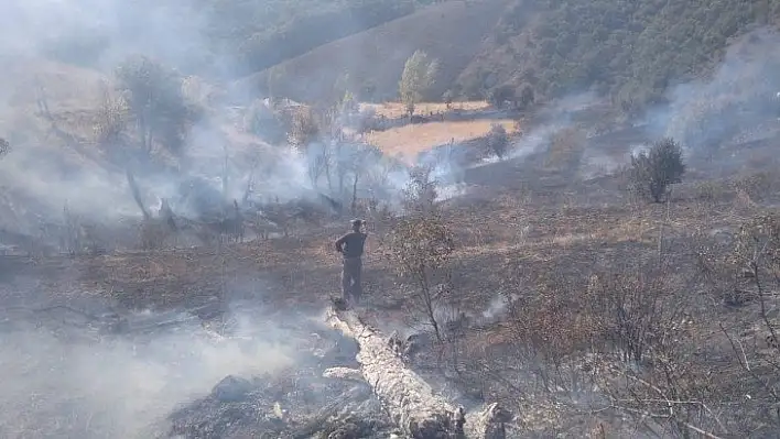 Tunceli'de iki noktada yangın çıktı