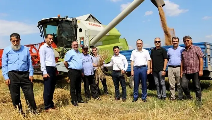 Türk tarımına yeni buğday türleri kazandırılacak