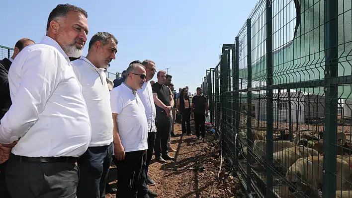 Vali Hatipoğlu'ndan Sokak Hayvanları Geçici Barınma Alanına ziyaret
