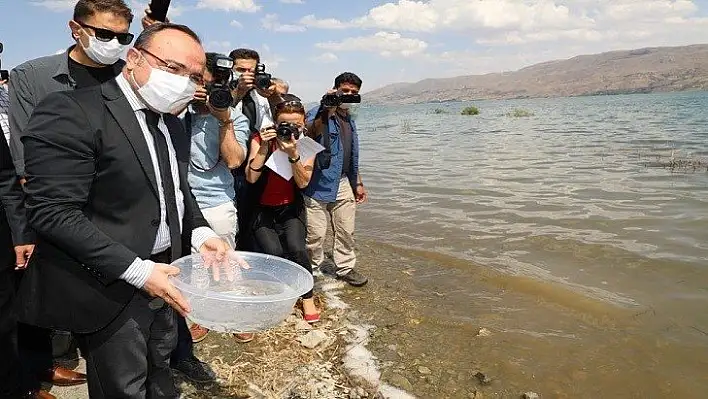 Vali Yırık: Hazar Gölümüz Bir Balık Gölü Olacak