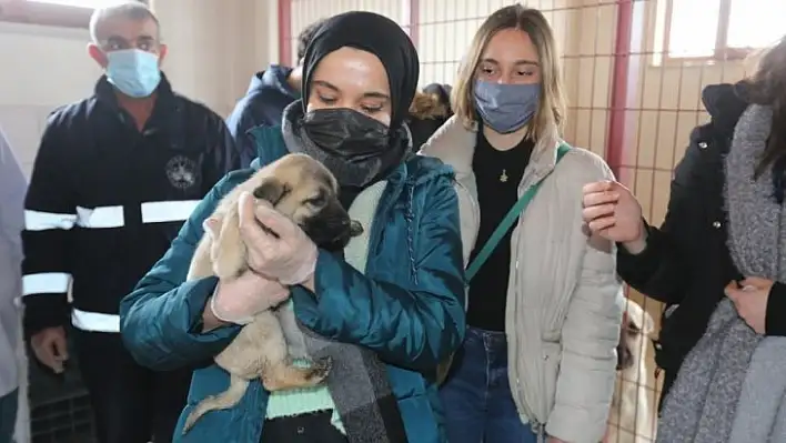 Veteriner Fakültesi öğrencilerinden Elazığ Belediyesi Hayvan Hastanesine tam not