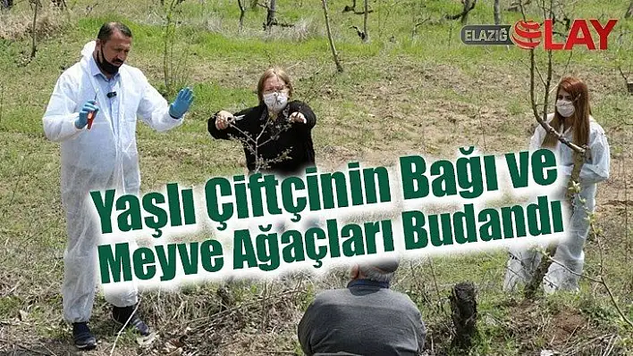 Yaşlı Çiftçinin Bağı ve Meyve Ağaçları Budandı