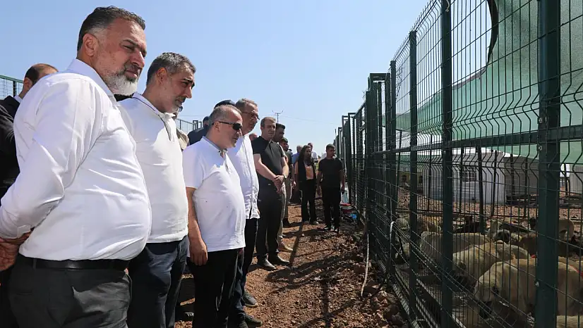 Vali Hatipoğlu'ndan Sokak Hayvanları Geçici Barınma Alanına ziyaret