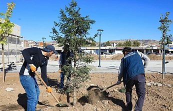 Doğu Park'ta sona doğru