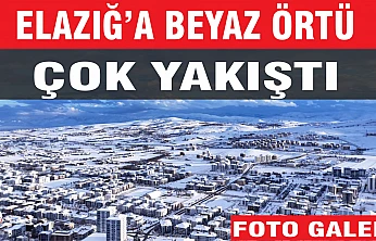 Elazığ'a beyaz örtü çok yakıştı