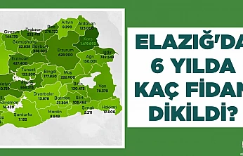 ELAZIĞ'DA 6 YILDA KAÇ FİDAN DİKİLDİ?