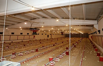 Elazığ'da kanatlı üretimi iki katına çıktı