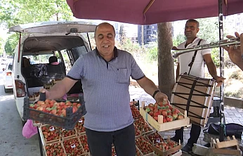 Elazığ'ın fenomen çilekçisi Deveci'den acı haber