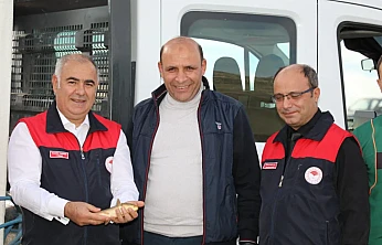 Kalecik Baraj Gölüne sazan bırakıldı