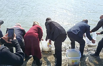 Keban'da Üretilen 300 bin sazan yavrusu Nahçıvan'da suya bırakıldı