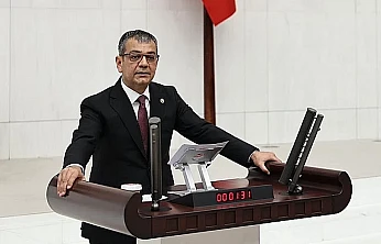 Keleş, suça sürüklenen çocuklar için etkin müdahale modeli önerdi