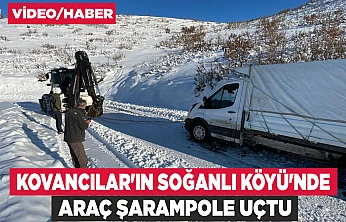 Kovancılar'ın Soğanlı Köyü'nde hayvan taşıma aracı devrildi