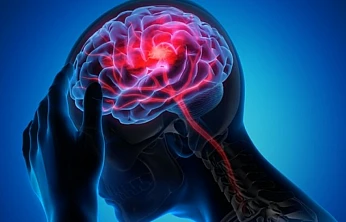 Prof. Dr. Demir, beyin sisi hastalığı hakkında önemli açıklamalarda bulundu