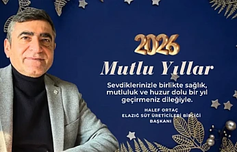 yeni yıl