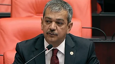 Keleş, Çocuk suçluluğu araştırma komisyonunda görev alacak