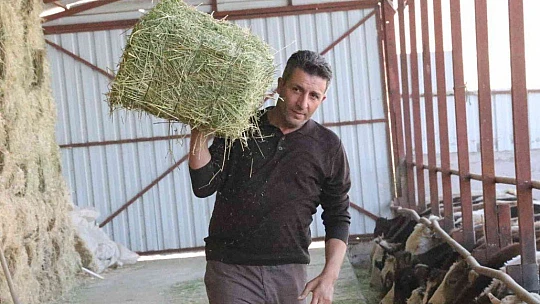 'Hayal bile edemezdik' diyen muhtar, TKDK'dan aldığı destek ile köyünü tavuk ve besi çiftliğine döndürdü