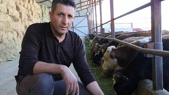 'Hayal bile edemezdik' diyen muhtar, TKDK'dan aldığı destek ile köyünü tavuk ve besi çiftliğine döndürdü