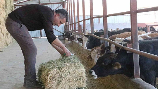 'Hayal bile edemezdik' diyen muhtar, TKDK'dan aldığı destek ile köyünü tavuk ve besi çiftliğine döndürdü