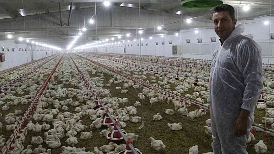 'Hayal bile edemezdik' diyen muhtar, TKDK'dan aldığı destek ile köyünü tavuk ve besi çiftliğine döndürdü