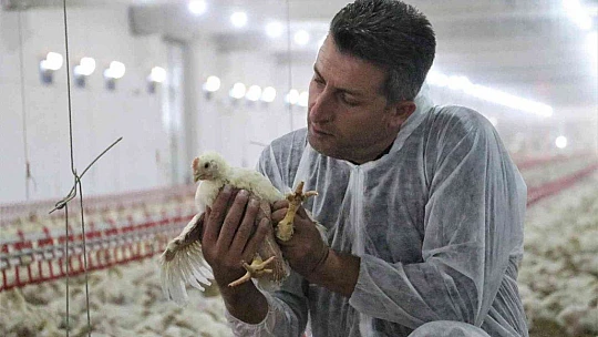 'Hayal bile edemezdik' diyen muhtar, TKDK'dan aldığı destek ile köyünü tavuk ve besi çiftliğine döndürdü