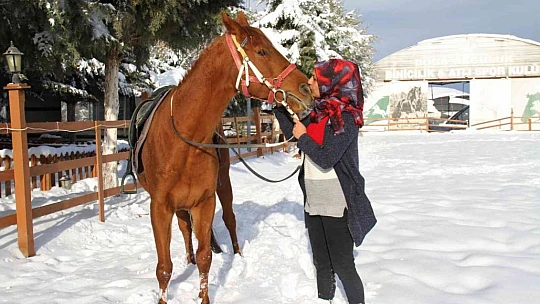 'Yapamazsın' dediler hırs yaptı Elazığ'ın tek kadın seyisi oldu