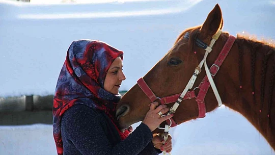'Yapamazsın' dediler hırs yaptı Elazığ'ın tek kadın seyisi oldu