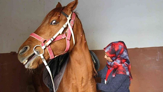 'Yapamazsın' dediler hırs yaptı Elazığ'ın tek kadın seyisi oldu