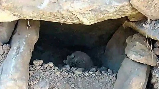 Beyhan Beldesi Güzelleşiyor