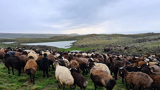 Karahan, yayladaki üreticileri ziyaret etti