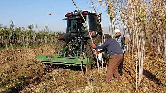12 milyon fidanın üretildiği Elazığ'da 2 milyon fidan toprakla buluşacak