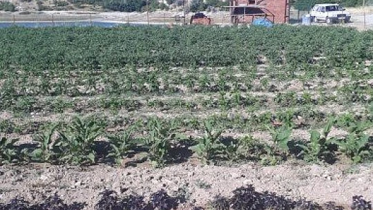 Ülkücü Başkan Gönülleri Fethetti