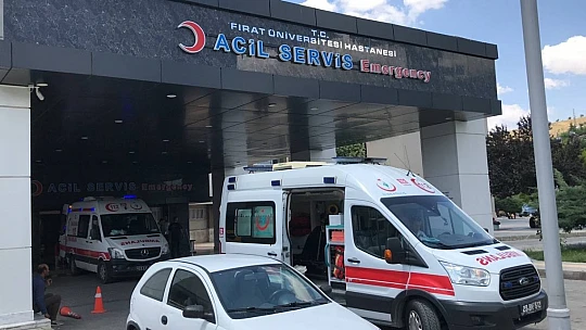 3 yaşındaki çocuğu kene ısırdı, ailesi eliyle çıkardı, semptomlar 5 gün sonra ortaya çıktı