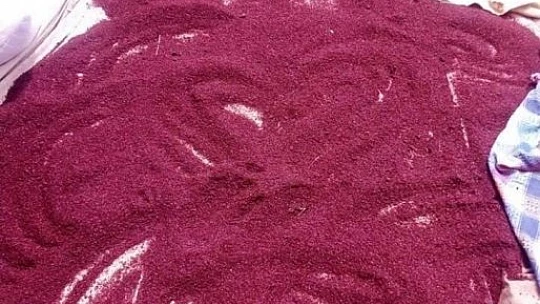 3 yıl önce 10 sumak ağacı dikti, yüzde 200 verim aldı