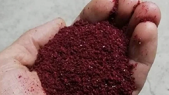 3 yıl önce 10 sumak ağacı dikti, yüzde 200 verim aldı