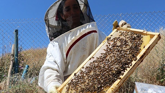 Ürettiği balı hayır olarak dağıtıyor