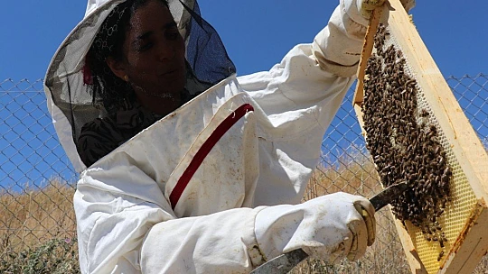 Ürettiği balı hayır olarak dağıtıyor
