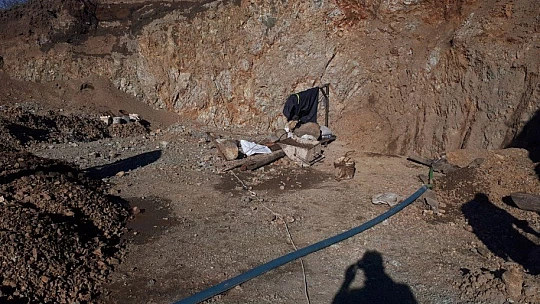 Suçüstü Yakalandı