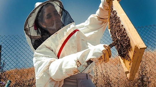 Ürettiği balı hayır olarak dağıtıyor