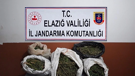 Zehir Tacirlerine Büyük Darbe