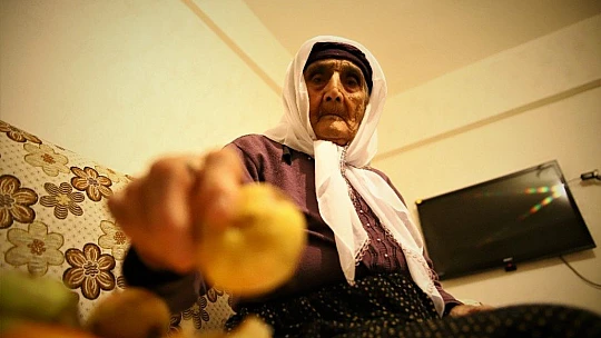 80 torunlu 102 yaşındaki Şahide nine, Covid-19'u evinde yendi