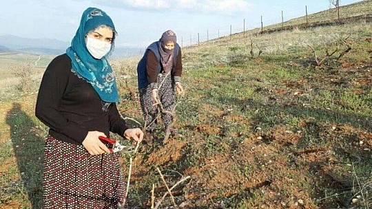 Elinin hamuruyla erkek işine karışmayın demişlerdi