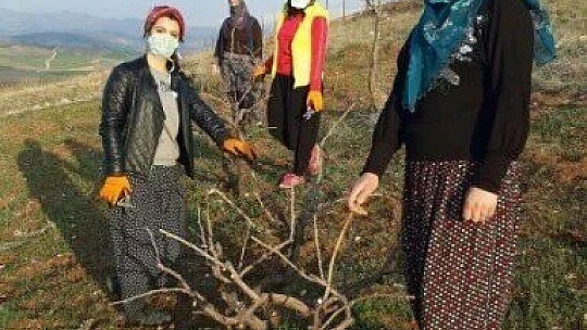Elinin hamuruyla erkek işine karışmayın demişlerdi