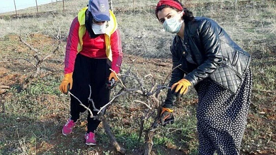 Elinin hamuruyla erkek işine karışmayın demişlerdi
