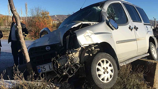 Ağaca ve aydınlatma direğine çarpan hafif ticari araç asılı kaldı: 1 yaralı
