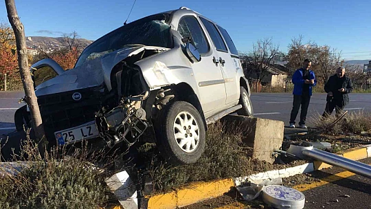 Ağaca ve aydınlatma direğine çarpan hafif ticari araç asılı kaldı: 1 yaralı
